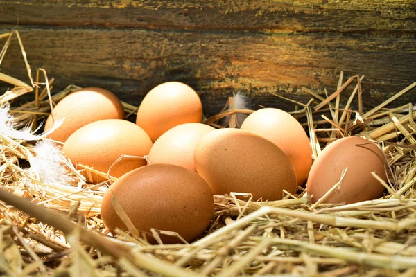 Yuvadaki birçok yumurta samandan yapılır. Çiftlikteki tavuklardan elde edilen yiyecekler. Çiftçilerden sağlıklı ürünler. Kırsal bölgelerden ürünler.