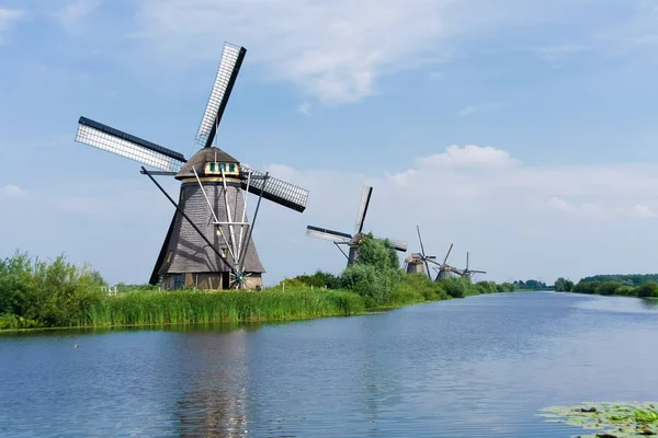 Klasik yel değirmenleri Hollanda köyü doğal Hollanda'da kanalda tarafından. Avrupa'nın ünlü turizm peyzaj.