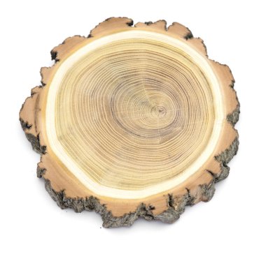 Ahşap profil kesme ağacının temsil eden bir dilim.