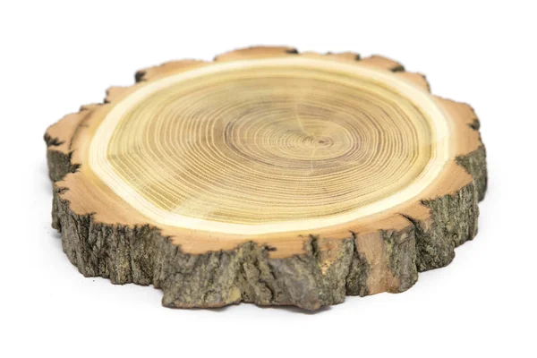 Slice Wood Representing Profile Cut Tree — Stock Photo, Image