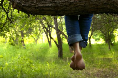 Diz altı kıvrılmış kot pantolonlu kadın bacakları. Çıplak ayaklar bir yaz akşamı ormanının arka planında görülebilir.
