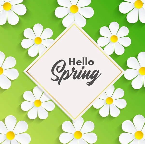 Hallo Frühling Hintergrund Mit Kamillenblüten — Stockvektor