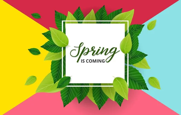 Frühling Hintergrund Mit Grünen Blättern Und Quadratischen Rahmen — Stockvektor