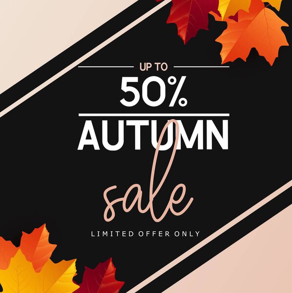 Autumn sale banner background with colorful leaves