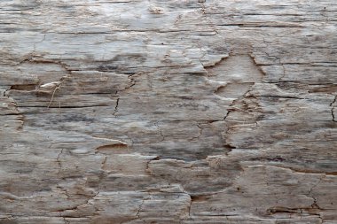 ahşap desen arka plan makro fotoğraf yaşlandırılmış güzel