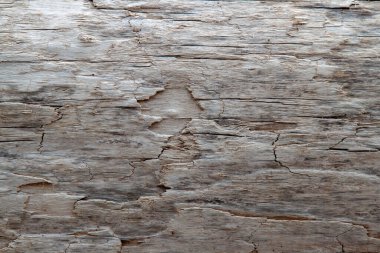 ahşap desen arka plan makro fotoğraf yaşlandırılmış güzel