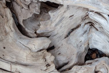 ahşap desen arka plan makro fotoğraf yaşlandırılmış güzel