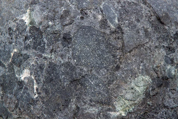 Kayanın Içeriği Homojen Zeminine Sahip Taş Dokusu — Stok fotoğraf