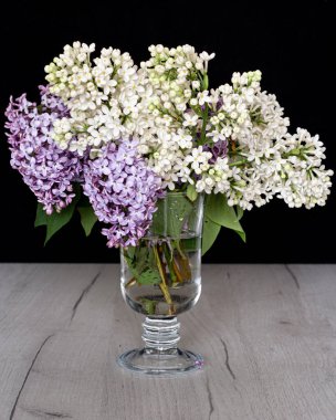 Vazodaki siyah arka planda beyaz ve gri leylaklar.