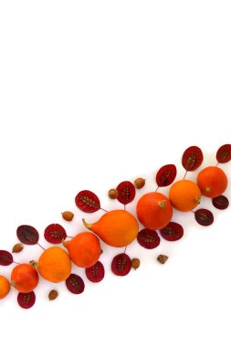 Güzel sonbahar kırmızı yaprakları, balkabakları, beyaz arka planda meşe palamudu yazı için yeri olan. Üst manzara, düz yatış. Şükran Günü hazırlıkları.