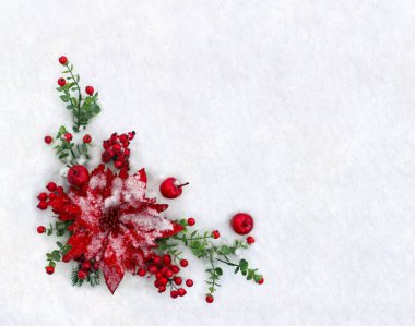 Noel süsü. Kırmızı noktalı çiçek, dallar noel ağacı, kırmızı elmalar, kardaki kırmızı böğürtlenler yazı için yer. Üst manzara, düz uzanma
