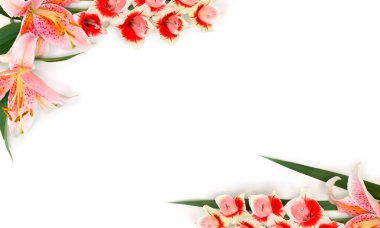 Beyaz arkaplanda beyaz arkaplan üzerinde gladiolus çiçeği ve pembe zambaklar çerçevesi. Üst manzara, düz uzanma