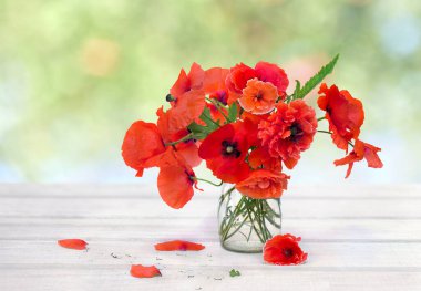 Kırmızı haşhaş buketi (mısır haşhaşı, mısır gülü, tarla gelinciği, kırmızı ot, kokuelicot) küçük vazoda beyaz ahşap masa üzerinde bulanık doğa arka planında metin için alan