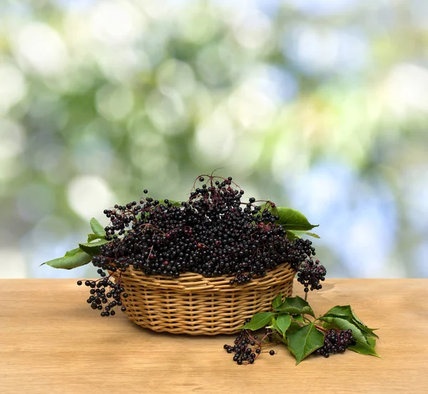 Clusters fruit black elderberry in basket on a wooden table on blur nature background. Common names: black elder and European black elderberry
