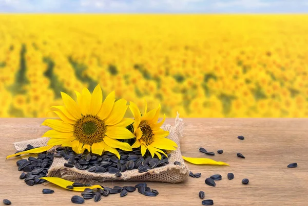 Blumen Und Sonnenblumensamen Auf Klette Auf Holztisch Auf Hintergrund Blühendes — Stockfoto