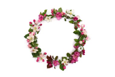 Çiçeklerin çerçevesi beyaz bir zemin üzerinde elma ağacı ve metin için boşluk. Üst manzara, düz uzanma.