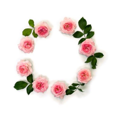 Çiçeklerin yuvarlak çerçevesi beyaz arka planda yaprakları olan pembe güller ve metin için boşluk. Üst manzara, düz uzanma