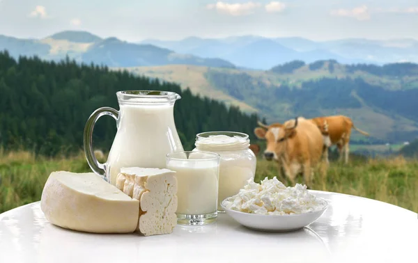 Milk, sour cream, cheese and cottage cheese on white table on background of meadow with cows in the mountains