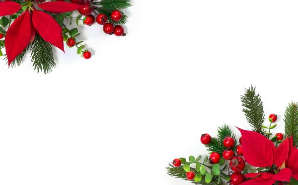 Noel süsü. Kırmızı noktalı çiçek çerçevesi, dallı noel ağacı, beyaz arka planda kırmızı böğürtlen, mesaj için boşluk. Üst manzara, düz uzanma
