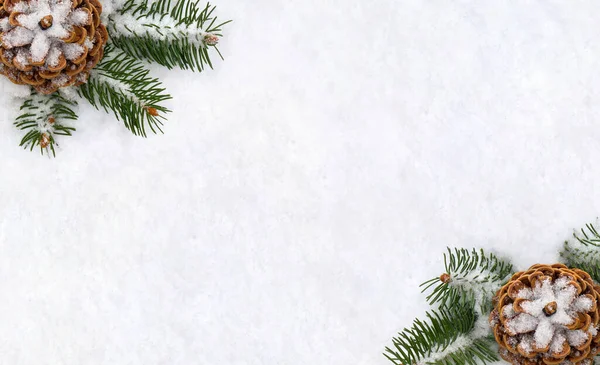 Quadro Cones Pinheiro Galhos Árvore Natal Neve Com Espaço Para — Fotografia de Stock