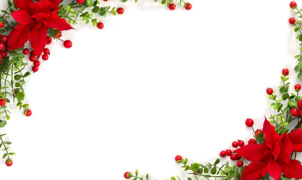 Kerstversiering Frame Van Bloem Van Rode Poinsettia Tak Kerstboom Rode — Stockfoto