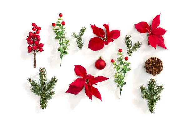 Decoração Natal Flores Poinsettia Vermelho Árvore Natal Ramo Bola Pinho — Fotografia de Stock