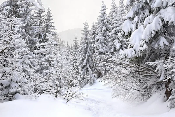 Paisaje Invernal Montañas Con Sendero Con Huellas Nieve —  Fotos de Stock