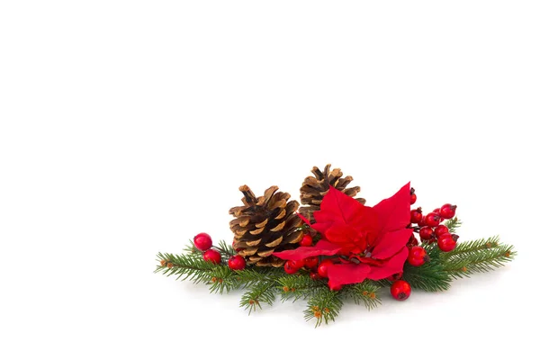 Decoração Natal Flor Poinsettia Vermelho Cones Pinheiro Árvore Natal Ramo — Fotografia de Stock