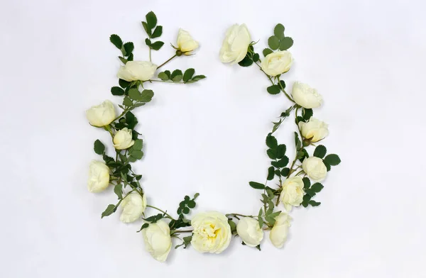 Beautiful frame of white roses ( Burnet double white, shrub rose ) with space for text on light background. Top view, flat lay.