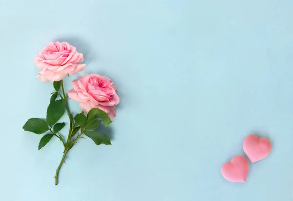 Dekoration Zum Valentinstag Schöne Blumen Rosa Rosen Und Rosa Herzen — Stockfoto