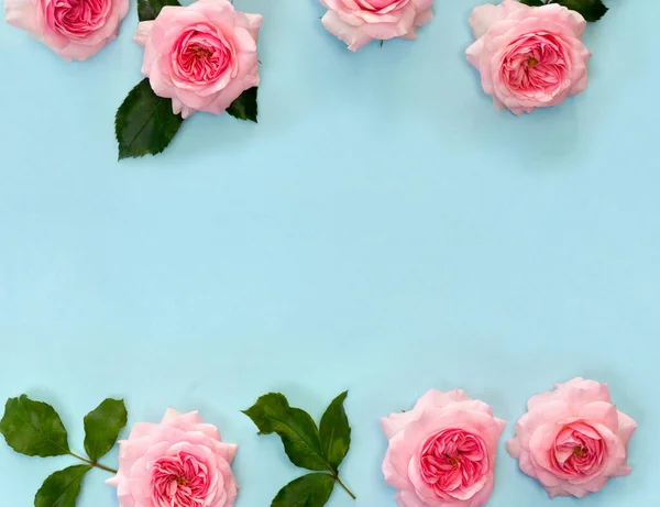 Rahmen Von Blumen Rosa Rosen Auf Blauem Papier Hintergrund Mit — Stockfoto