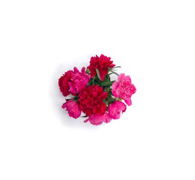 Beyaz arka planda pembe renkli şakayık buketi ve mesaj için yer var. Üst manzara, düz yatış. Bahar dekorasyonu