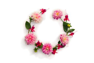 Beyaz arkaplanda beyaz bir zemin üzerinde Dahlia çiçekleri ve fuşya triphylla yazılı. Üst manzara, düz uzanma