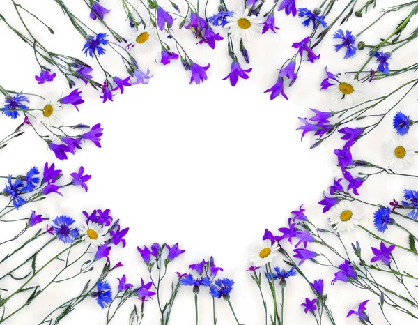 Quadro Flores Violetas Flores Sino Camomilas Flores Milho Azul Fundo — Fotografia de Stock