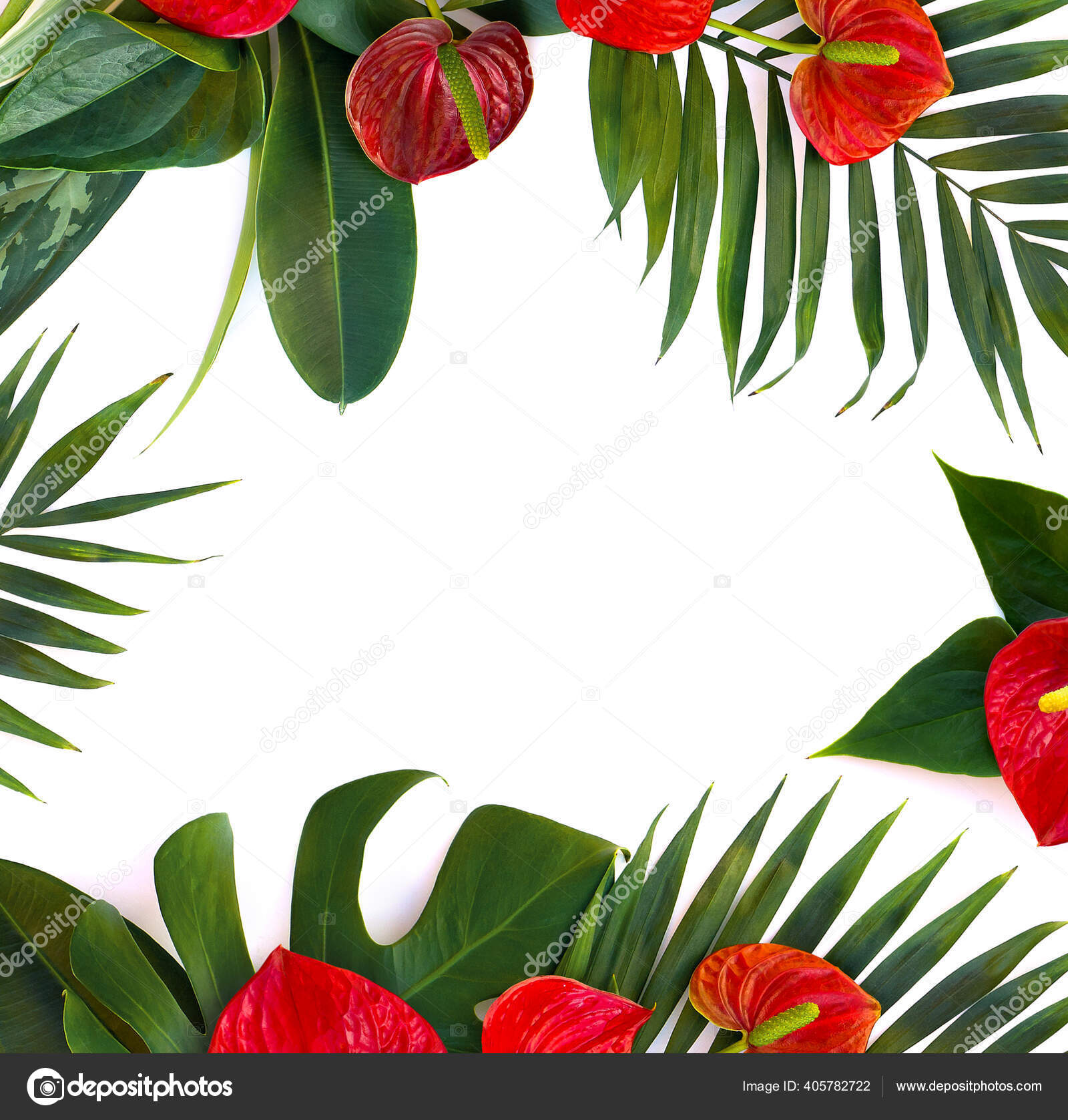 Bouquet Tropical Leaves Monstera Dieffenbachia Branch Palm Ficus Benjamina Red Stock Photo Image By C Anastasiia Malinich Bouquet Tropical Leaves Monstera Dieffenbachia Branch Palm Ficus Benjamina Red Stock Photo Image By C Anastasiia Malinich