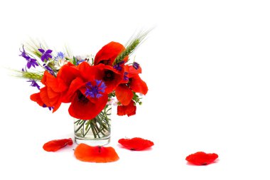 Red poppies, cornflowers, ears of green wheat, chamomile in small vase on white background with space for text clipart