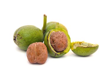 Beyaz arkaplanda ceviz (Juglans regia)