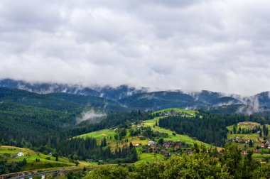 Yağmurdan sonra sabah ladin ormanında buharlaşma suyu. Karpat Dağları. Vorokhta Köyü. Ukrayna