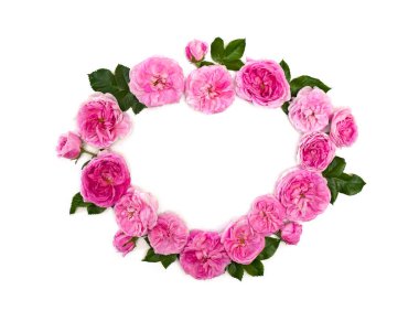 Beyaz arka planda pembe güllerin (çalı gülü) ve yaprakların kalbindeki kare ve metin için boşluk. Üst Manzara. Düz yatıyordu.