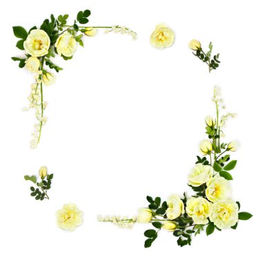 Beyaz gül çerçevesi (Burnet çift beyaz, çalı gülü) ve vadi zambağı (Convallaria majalis) beyaz arkaplan üzerinde yazı için alan. Üst manzara, düz uzanma