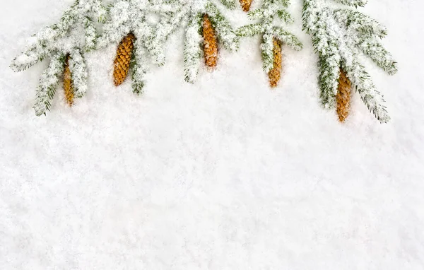 Świąteczne Dekoracje Oddział Choinki Szyszki Świerk Śniegu Widok Góry Płaski — Zdjęcie stockowe