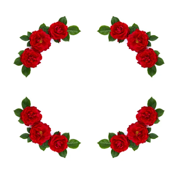Rámeček Rudých Růží Keřová Růže Bílém Pozadí Prostorem Pro Text — Stock fotografie