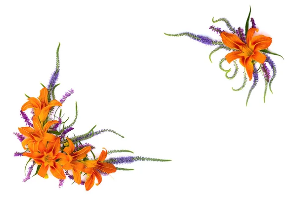 Λουλούδια Hemerocallis Fulva Πορτοκαλί Κρίνος Ημέρας Μελαχρινή Daylily Τίγρης Daylily — Φωτογραφία Αρχείου