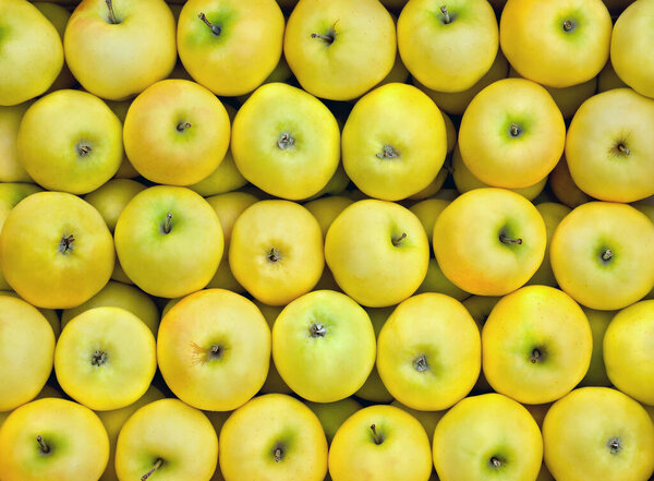 Texture of fresh yellow organic apples