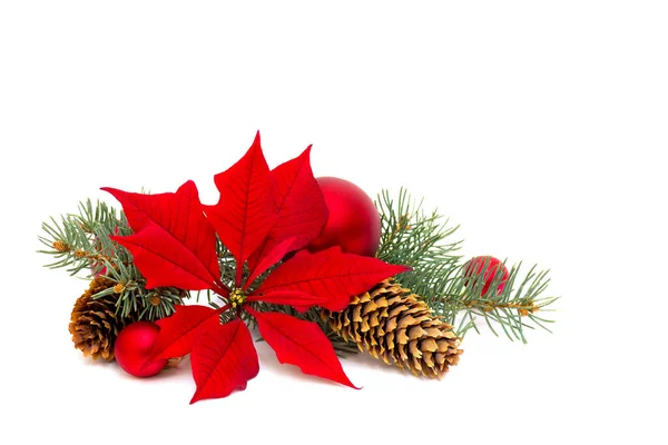 Noel süsü. Kırmızı noktalı çiçek (Euphorbia pulcherrima), dallı noel ağacı, noel baloları ve koniler beyaz arka planda beyaz bir arkaplan ve metin için alan