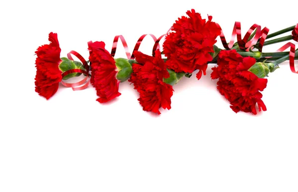 Ramo Claveles Rojos Con Cinta Dianthus Caryophyllus Sobre Fondo Blanco —  Fotos de Stock