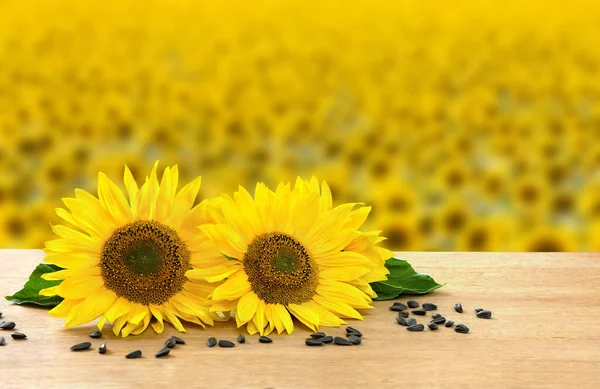 Blumen Und Sonnenblumensamen Auf Holztisch Vor Hintergrund Blühendes Sonnenblumenfeld — Stockfoto