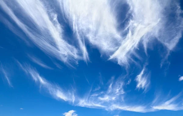 有卷云 云彩出现在很高的高度 在温暖或遮挡的前方 雨即将来临的时候 — 图库照片