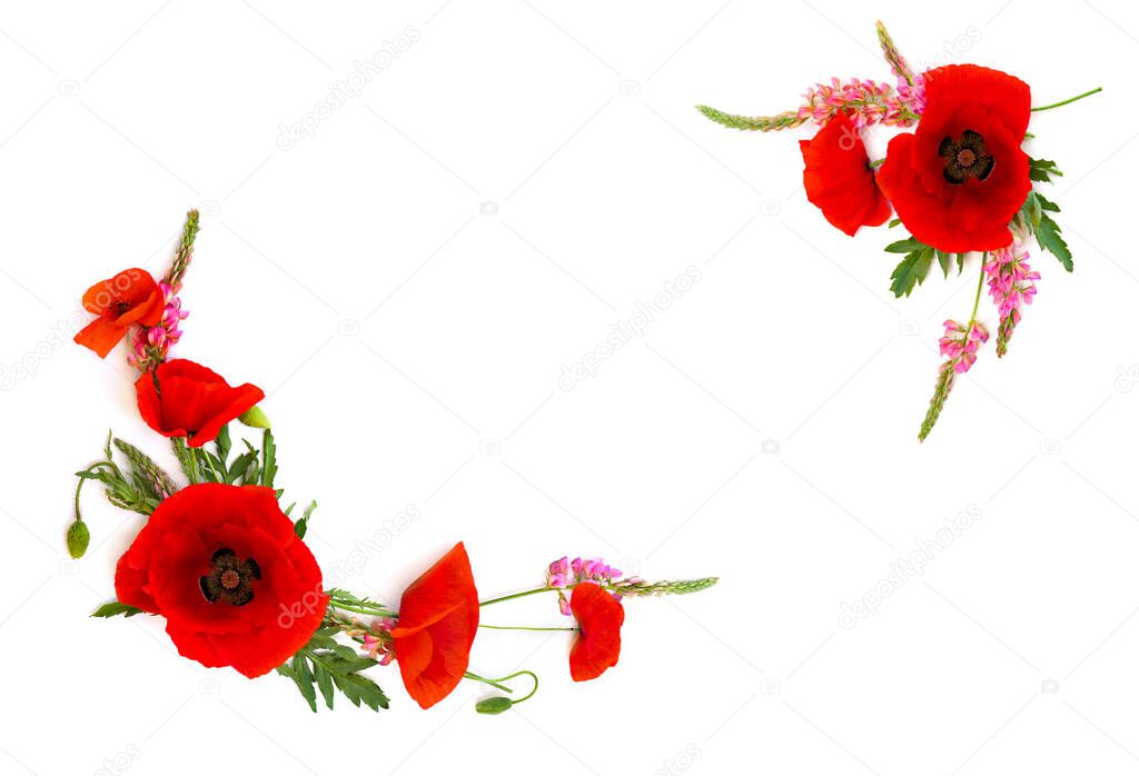 Frame of red poppies (Papaver rhoeas, common names: corn poppy, corn rose, field poppy, coquelicot, headwark), pink sainfoins on a white background with space for text. Top view, flat lay 