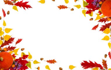 Kırmızı meşe yaprakları, sarı huş yaprakları, balkabağı, ceviz, meşe palamudu, böğürtlen ve çiçeklerden oluşan çerçeve beyaz arka planda yazı için yer var. Üst manzara, düz uzanma